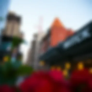 Exploring the City Walk: A Comprehensive Guide to Urban Life Summary Exploring the City Walk: A Comprehensive Guide to Urban Life Summary