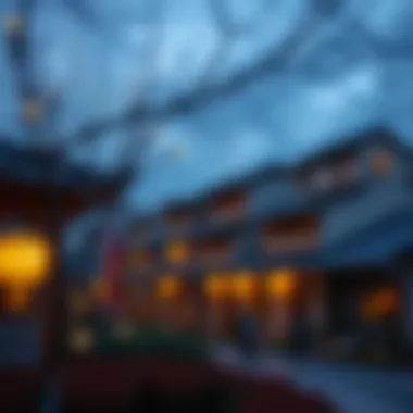 Exploring the Essence of Cultural Villages Summary