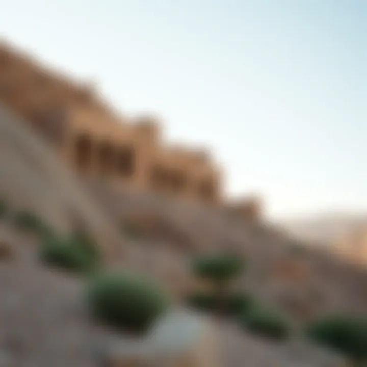 Notable Exploring the Location of Wadi Shawka: A Geographical Overview