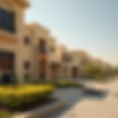 Notable Exploring the Majan Community in Dubai: A Comprehensive Overview Notable Exploring the Majan Community in Dubai: A Comprehensive Overview