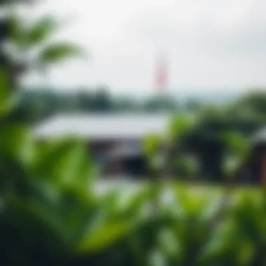 Scenic view of the Mudon Community Centre surrounded by greenery