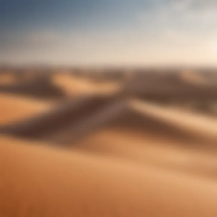 The serene beauty of the Liwa Desert showcasing its dunes