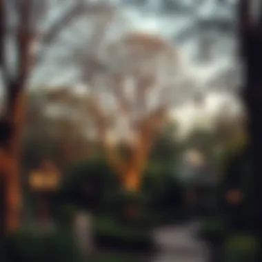 Exploring Woodland in Dubai: A Comprehensive Insight Summary