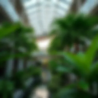 Lush Greenery at the Heart of Urban Dubai Lush greenery inside the Green Planet City Walk