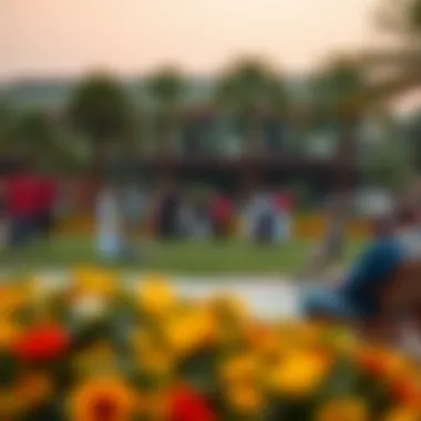 Community Engagement at Meraas Central Park People engaging in community activities at Meraas Central Park