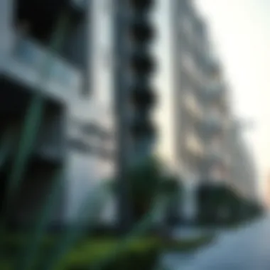 Notable Municipality Fees in Dubai: A Comprehensive Overview Notable Municipality Fees in Dubai: A Comprehensive Overview