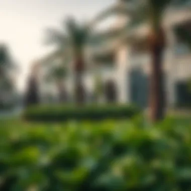 Sustainable Green Spaces in Nad El Sheba Gardens Green landscape and park area in Nad El Sheba Gardens promoting sustainability