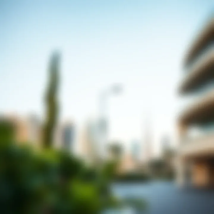 Navigating Life as a Dubai Expat Summary