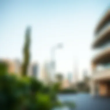 Navigating Life as a Dubai Expat Summary Navigating Life as a Dubai Expat Summary