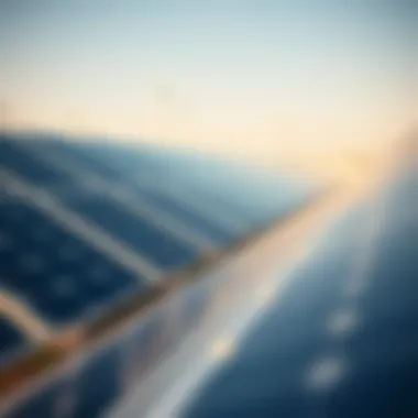 Sustainable Energy Solutions in the UAE Solar panels representing renewable energy initiatives