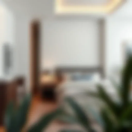 Partitioning Bed Space in Dubai: An Insightful Guide Introduction