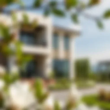 The Magnolias: A Comprehensive Look at Yas Acres Summary The Magnolias: A Comprehensive Look at Yas Acres Summary