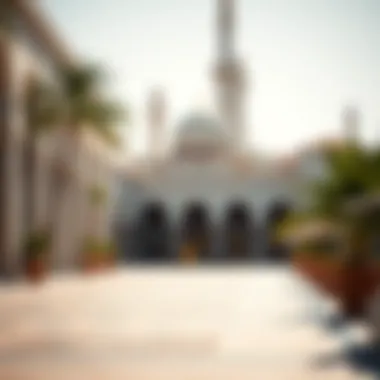 UAE Residence Visa Holder: An Exploration of Visa-Free Countries Summary