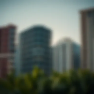 Diverse policies of real estate entities in Dubai