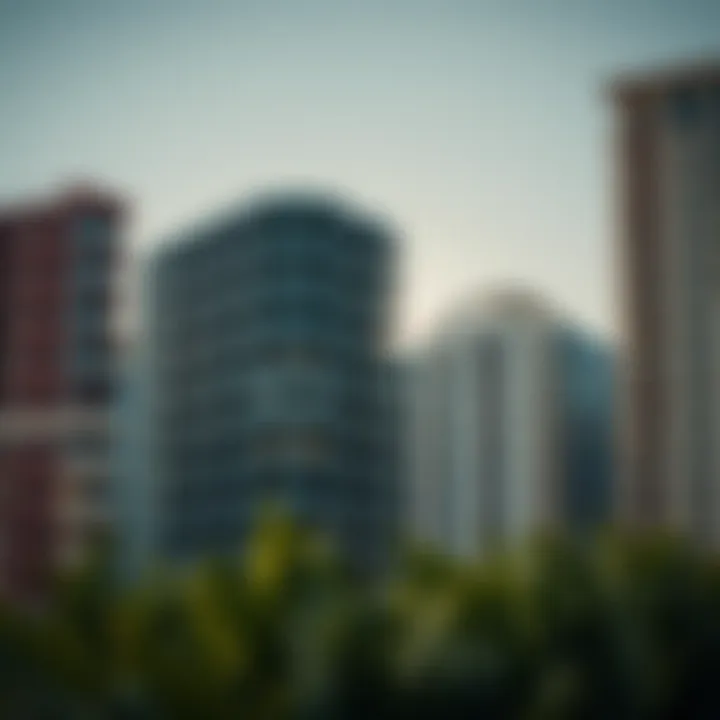 Diverse policies of real estate entities in Dubai