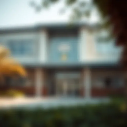 Understanding KHDA School Ratings in Dubai Introduction