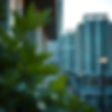 Notable Understanding Project Status in Dubai's Real Estate Development
