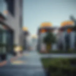 Understanding Sewa Online Payment for Dubai Real Estate Transactions Introduction
