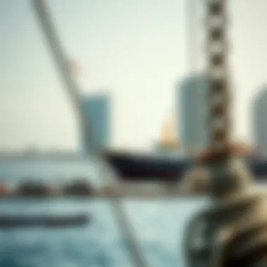 Visual representation of maritime activities in Dubai Maritime City