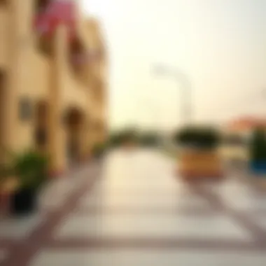 Understanding the Probation Period Under UAE Labor Law Summary