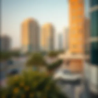 Notable Understanding Transactions through the Dubai Land Department Notable Understanding Transactions through the Dubai Land Department