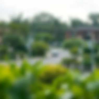 Tranquil Neighborhood Near Vida Hills Residence Serene neighborhood surrounding Vida Hills Residence with lush greenery